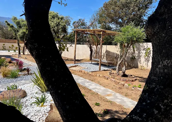 Apartment I Pozzi Palasca (Corsica)